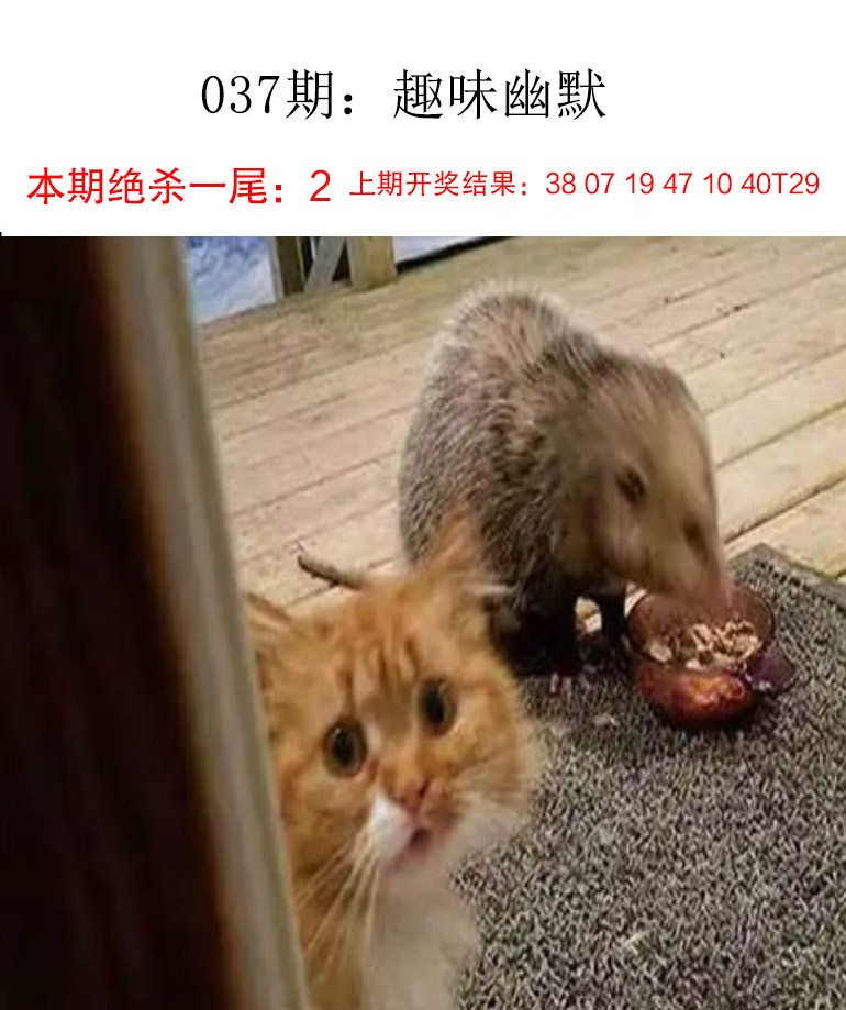 037期趣味幽默[图]