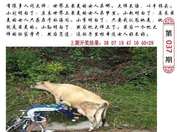 037期澳门生活幽默[图]