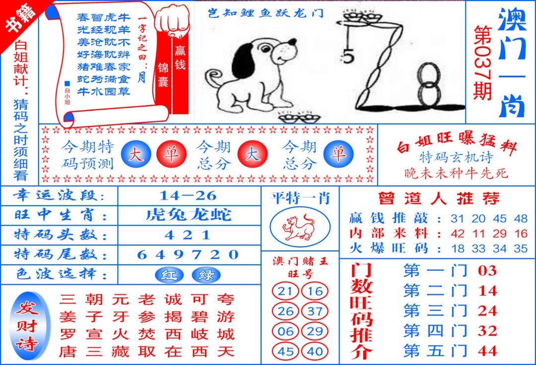 037期澳门东北虎[图]