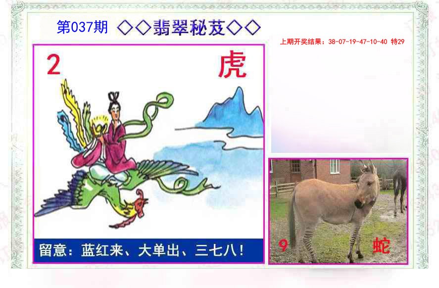 037期翡翠报[图]