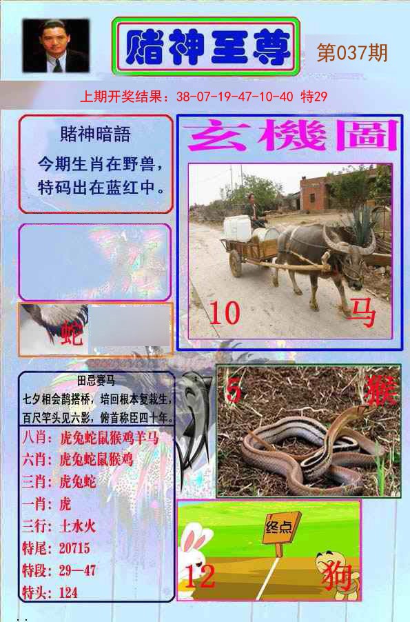 037期赌神至尊[图]