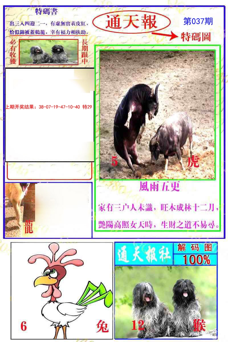 037期通天特解图[图]