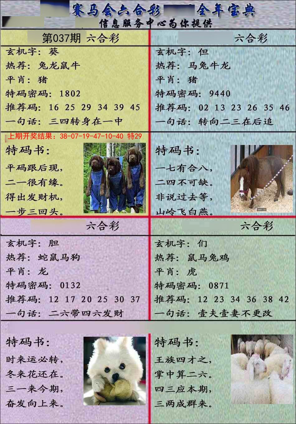 037期宝典报[图]