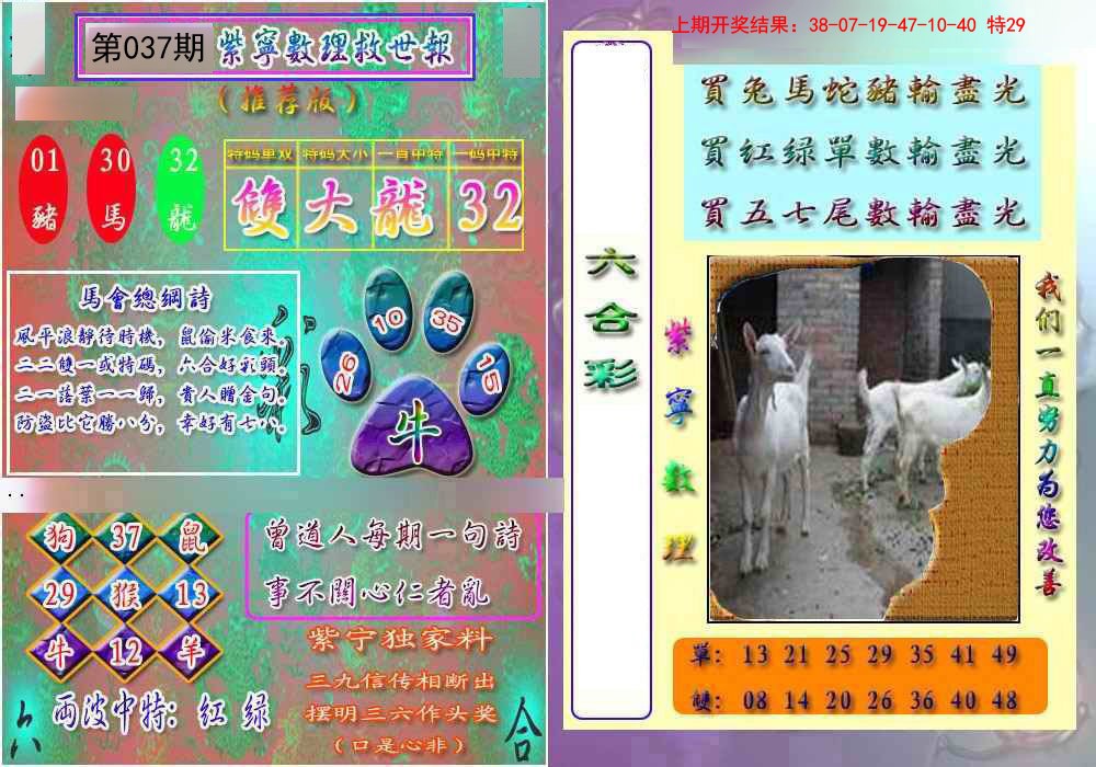 037期数理救世报[图]