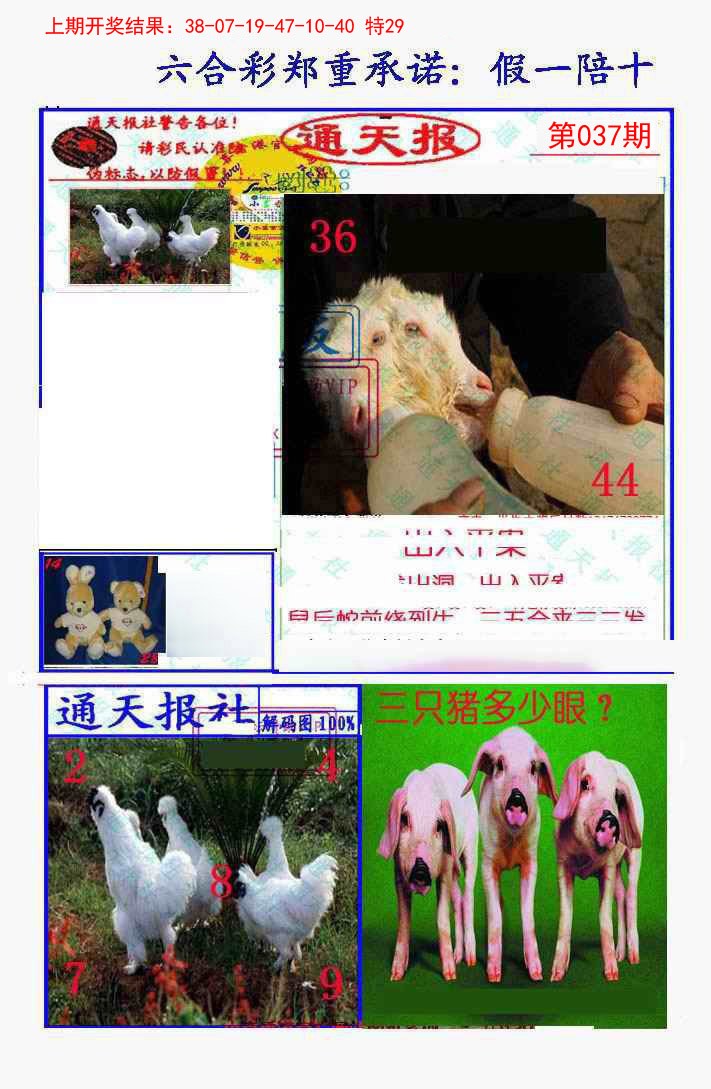 037期假一陪十通天报[图]