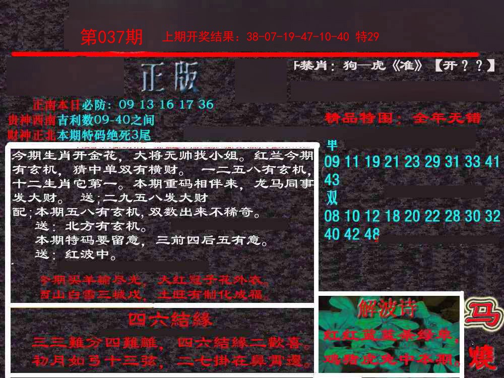 037期新港内幕[图]