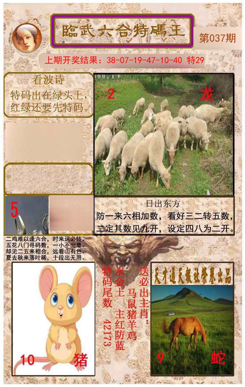 037期临武六合特码王[图]