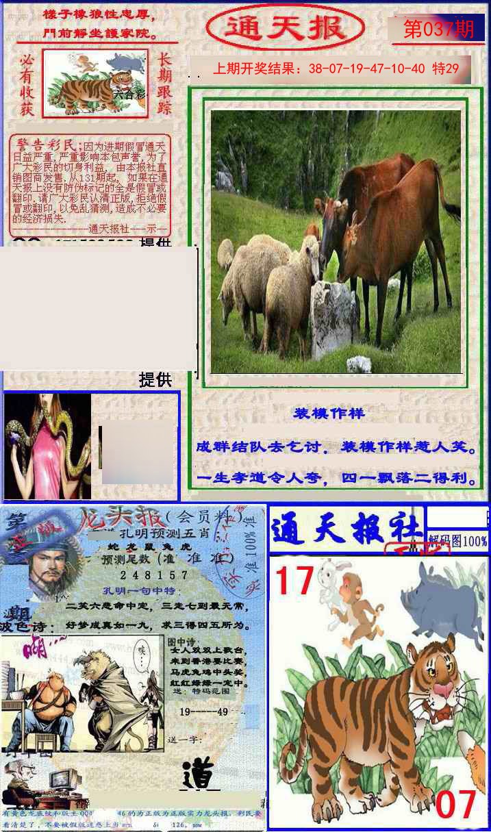 037期实力通天报[图]
