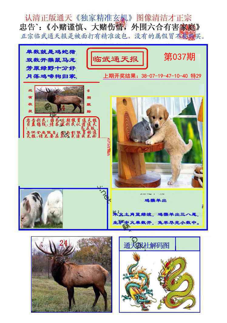 037期临武通天报[图]