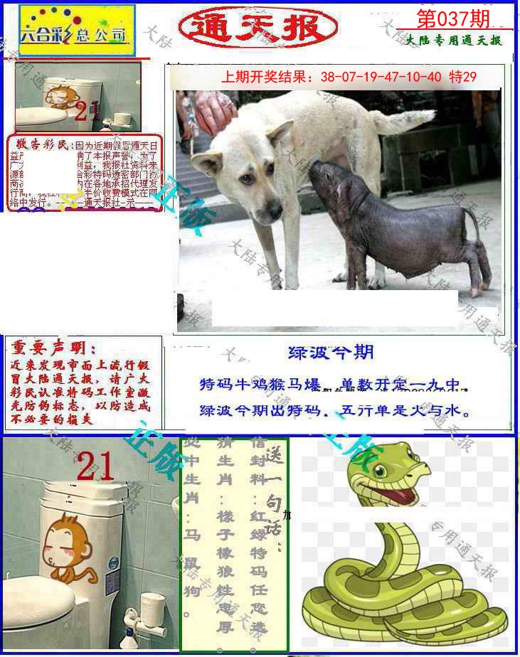 037期大陆通天报[图]