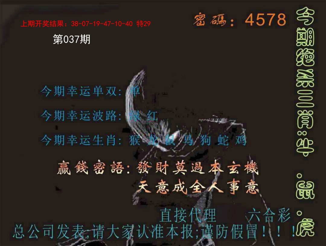 037期特码报[图]