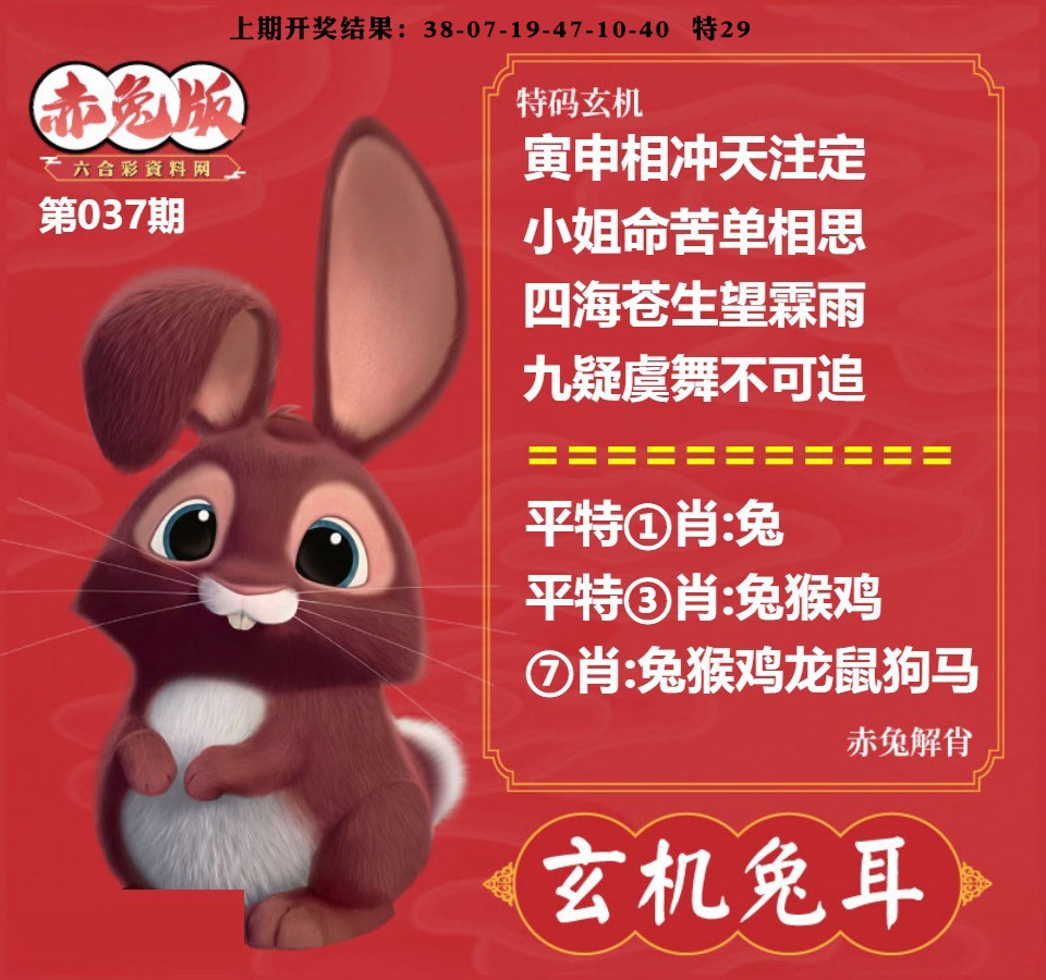 037期玄机兔耳[图]