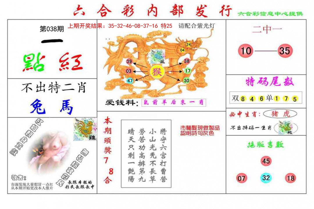 038期一点红[图]