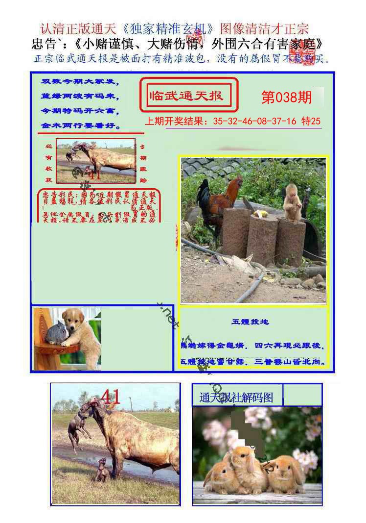 038期临武通天报[图]