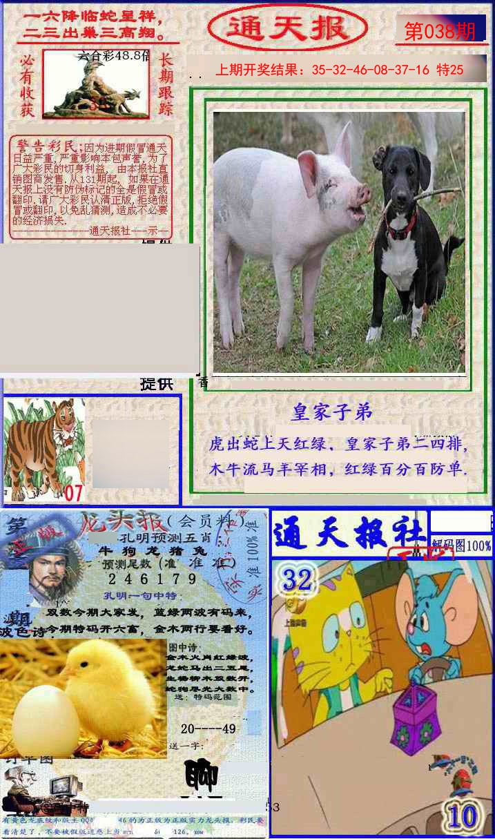 038期实力通天报[图]