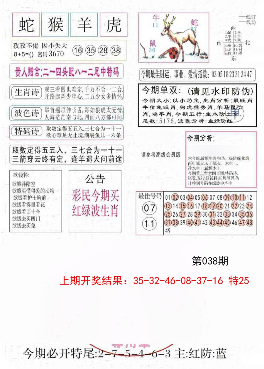 038期凤凰闲情A[图]