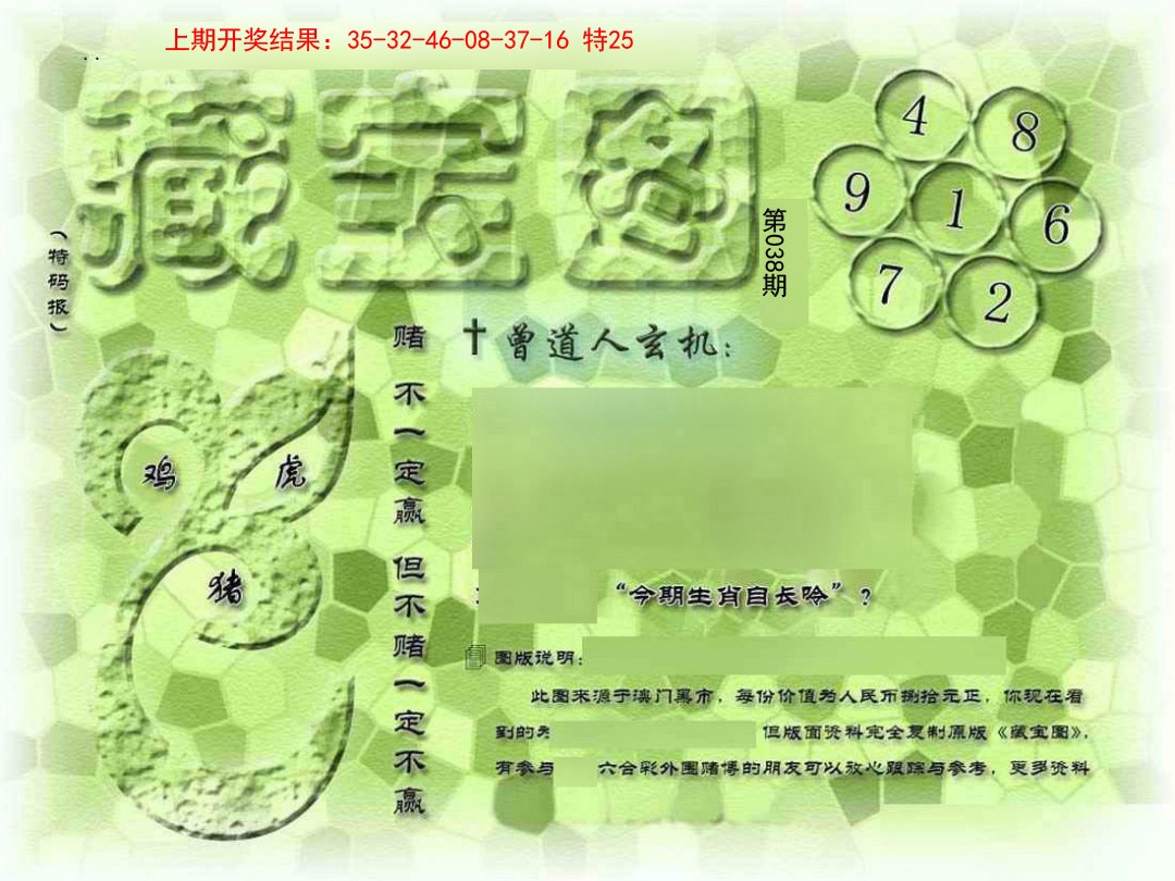 038期假新藏宝图[图]