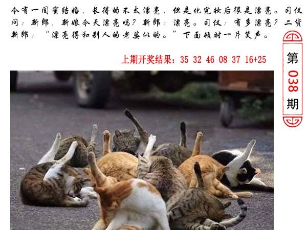 038期澳门生活幽默[图]