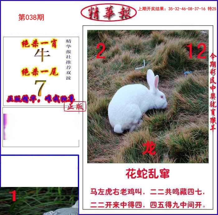 038期新精华报报[图]