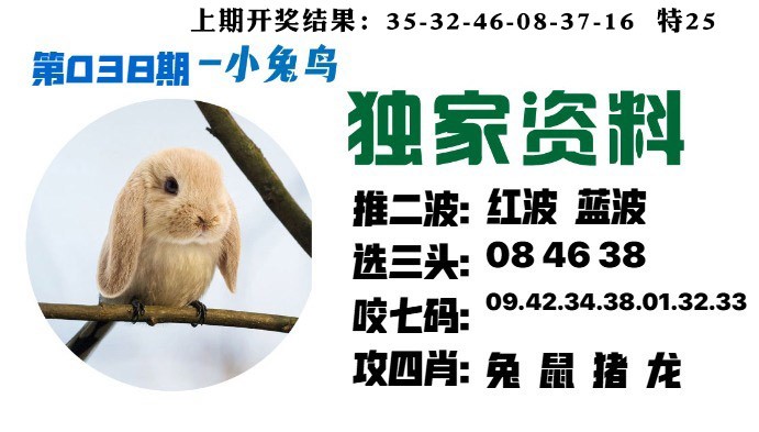 038期小兔鸟[图]