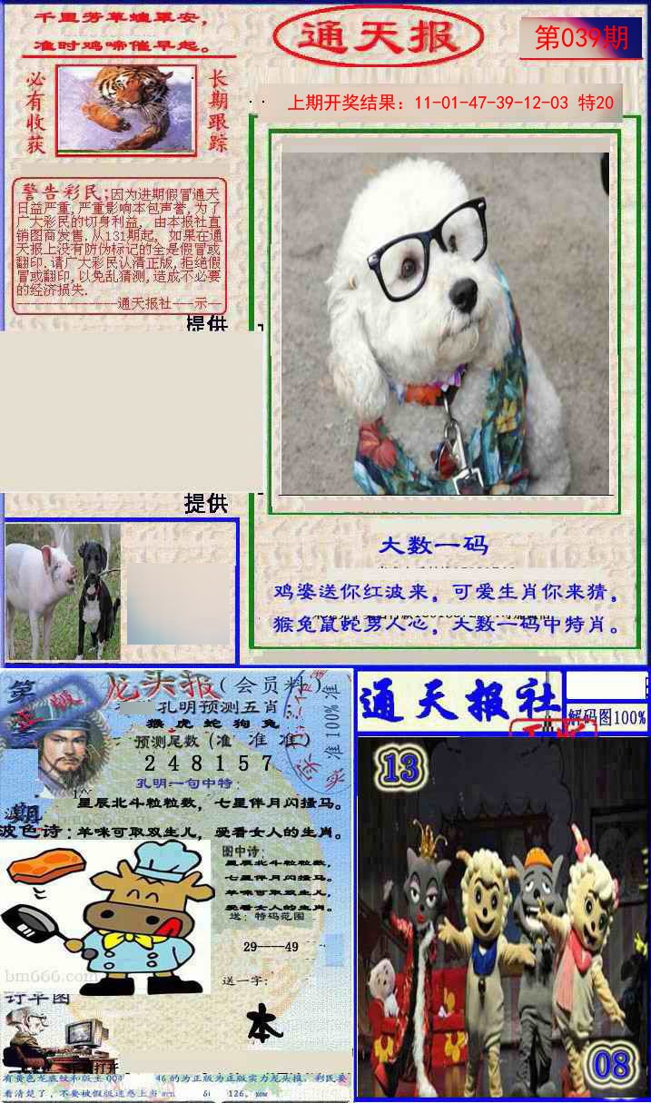039期实力通天报[图]