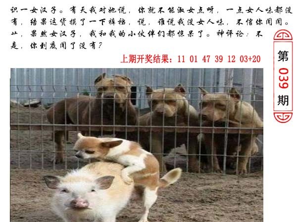 039期澳门生活幽默[图]