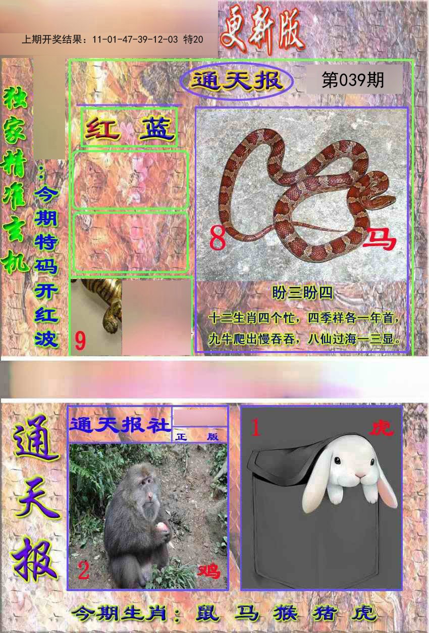 039期新通报[图]