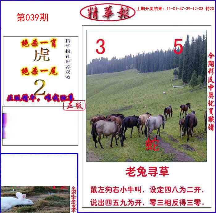 039期新精华报报[图]