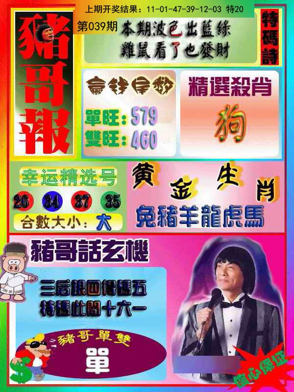 039期猪哥报[图]