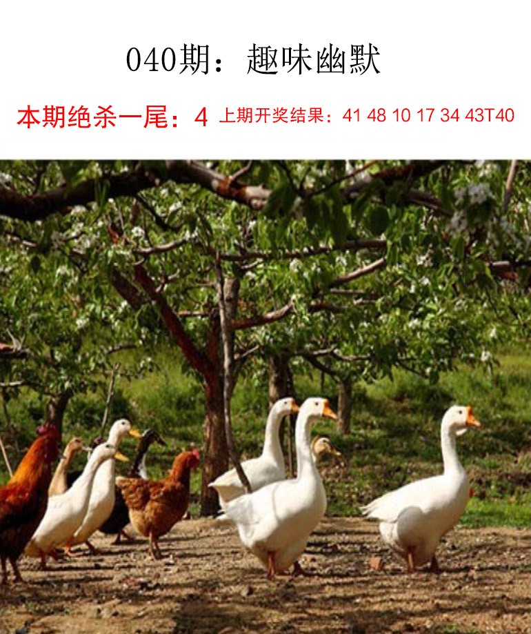 040期趣味幽默[图]