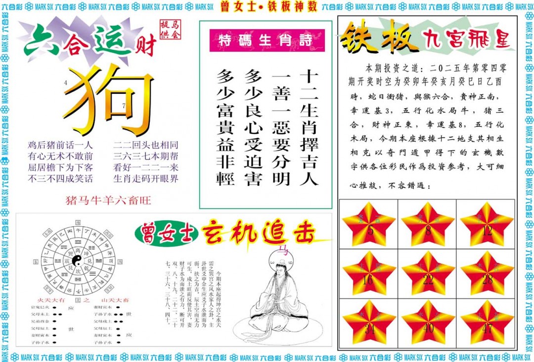 040期曾女士铁板神数B[图]