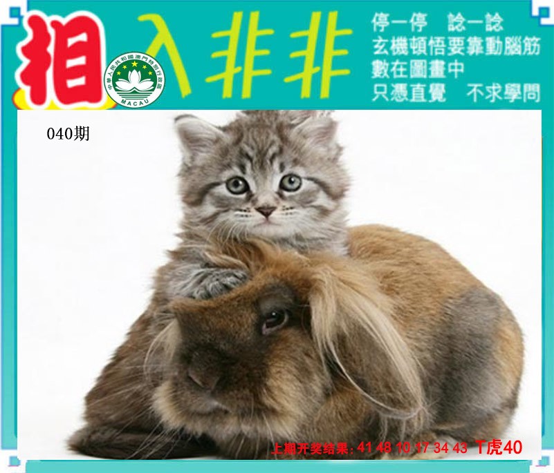 040期相入非非[图]