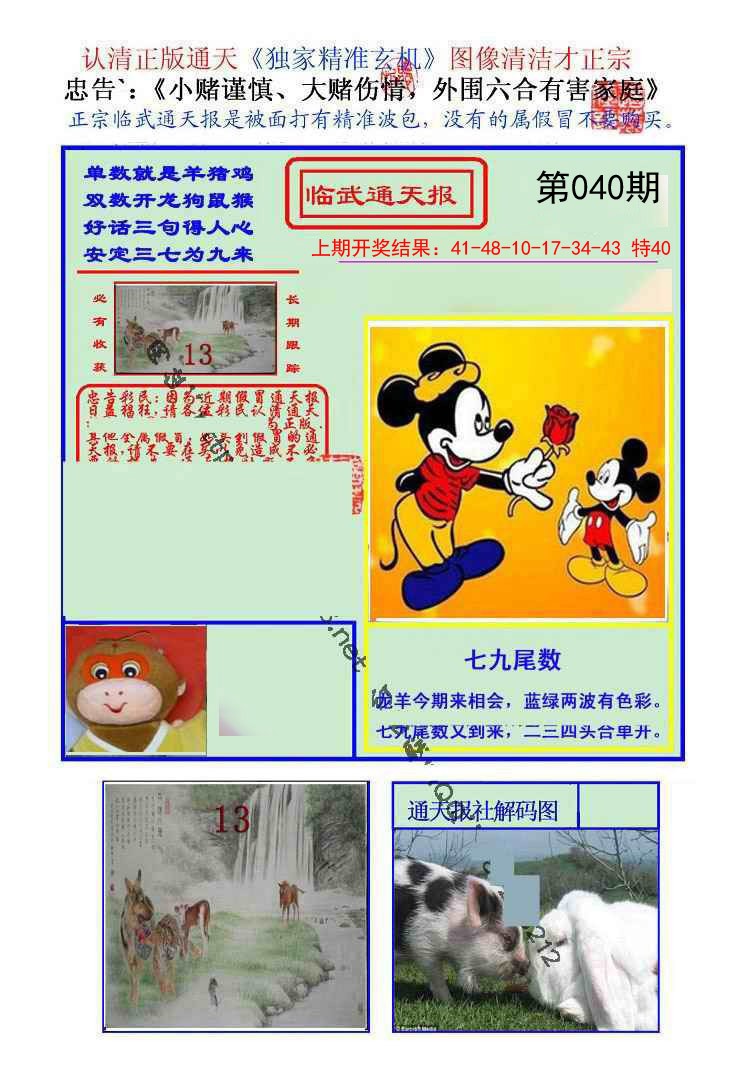 040期临武通天报[图]