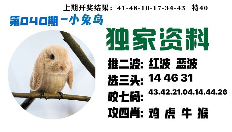 040期小兔鸟[图]