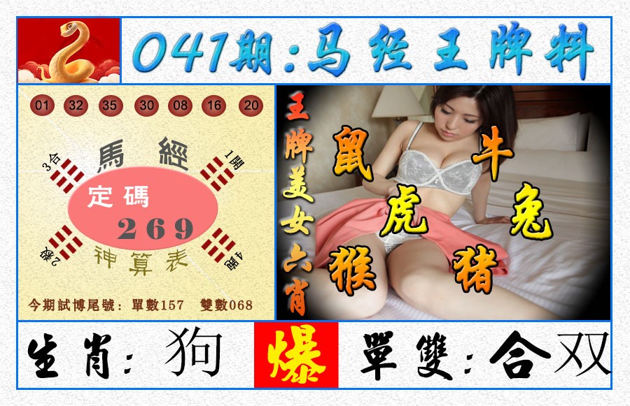 041期王牌料[图]