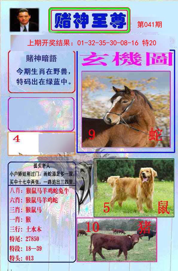 041期赌神至尊[图]
