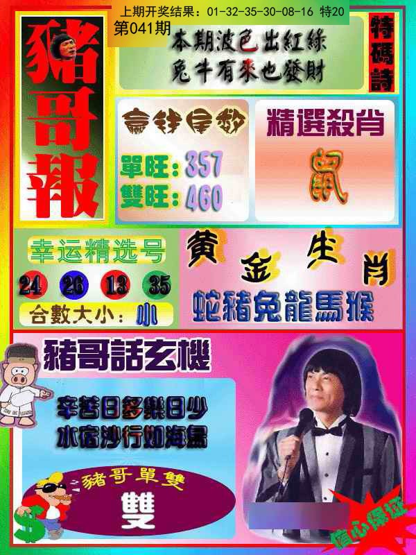 041期猪哥报[图]