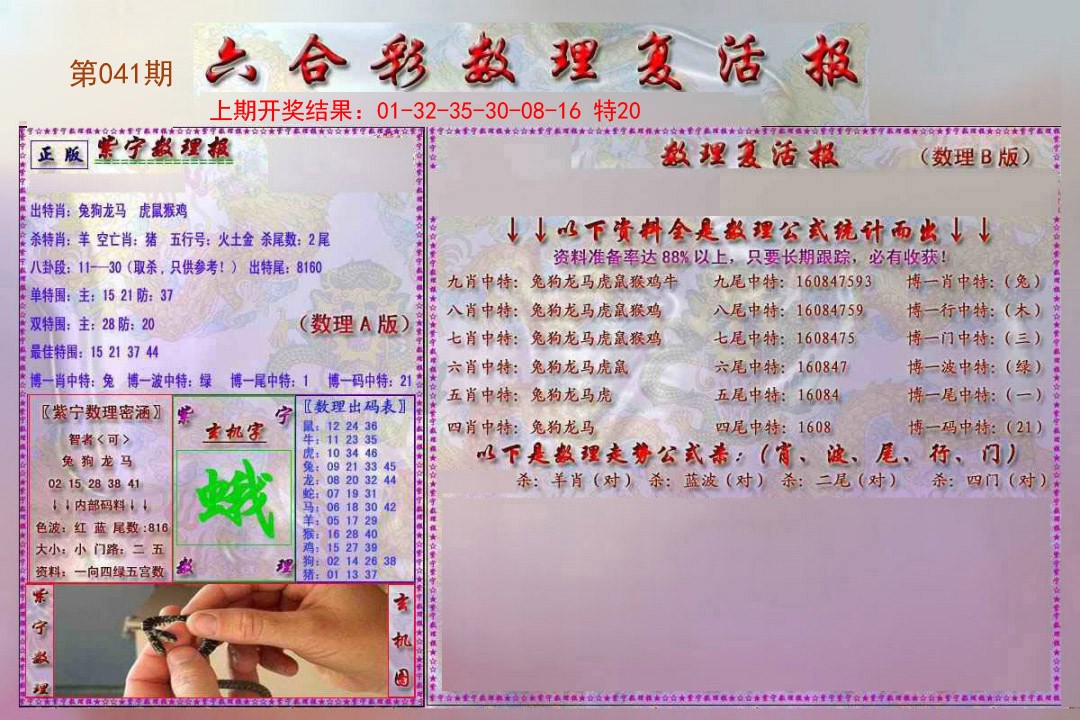 041期数理复活报[图]