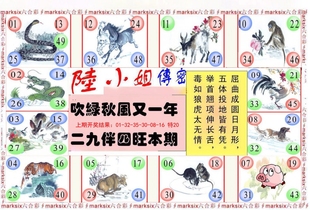 041期陆小姐传密B[图]