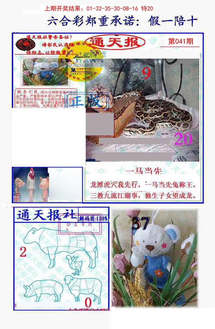041期假一陪十通天报[图]