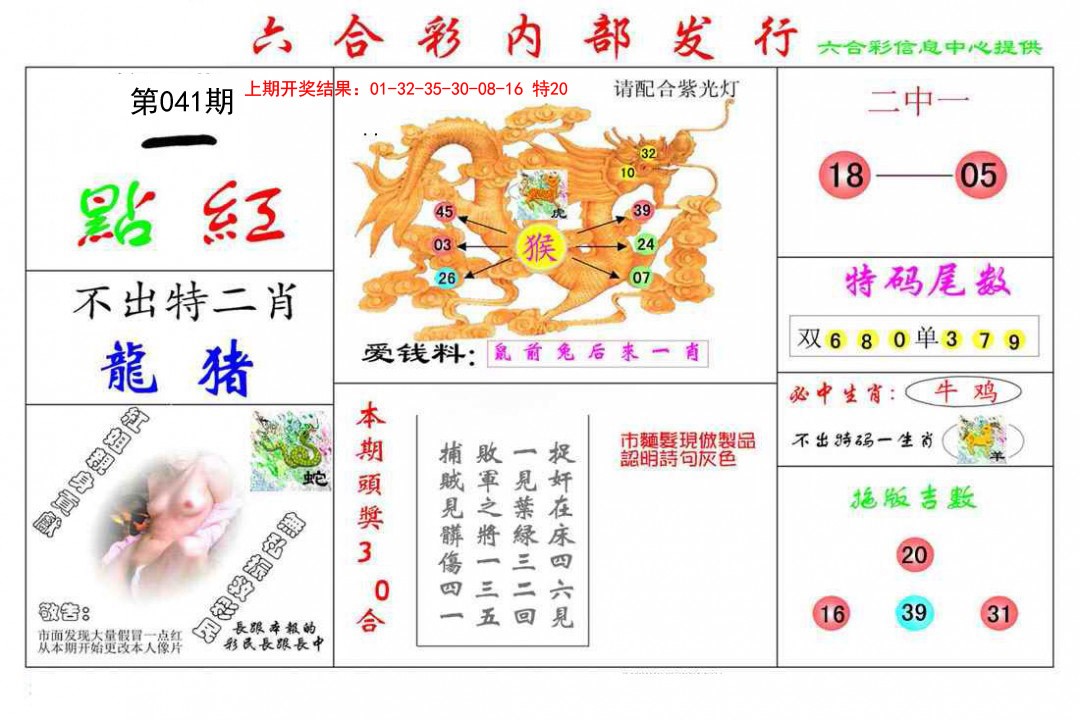 041期一点红[图]