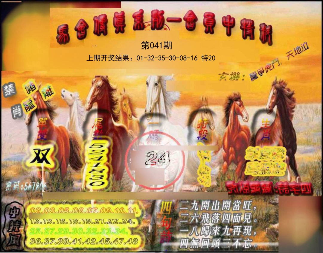 041期马会传真-会员报[图]