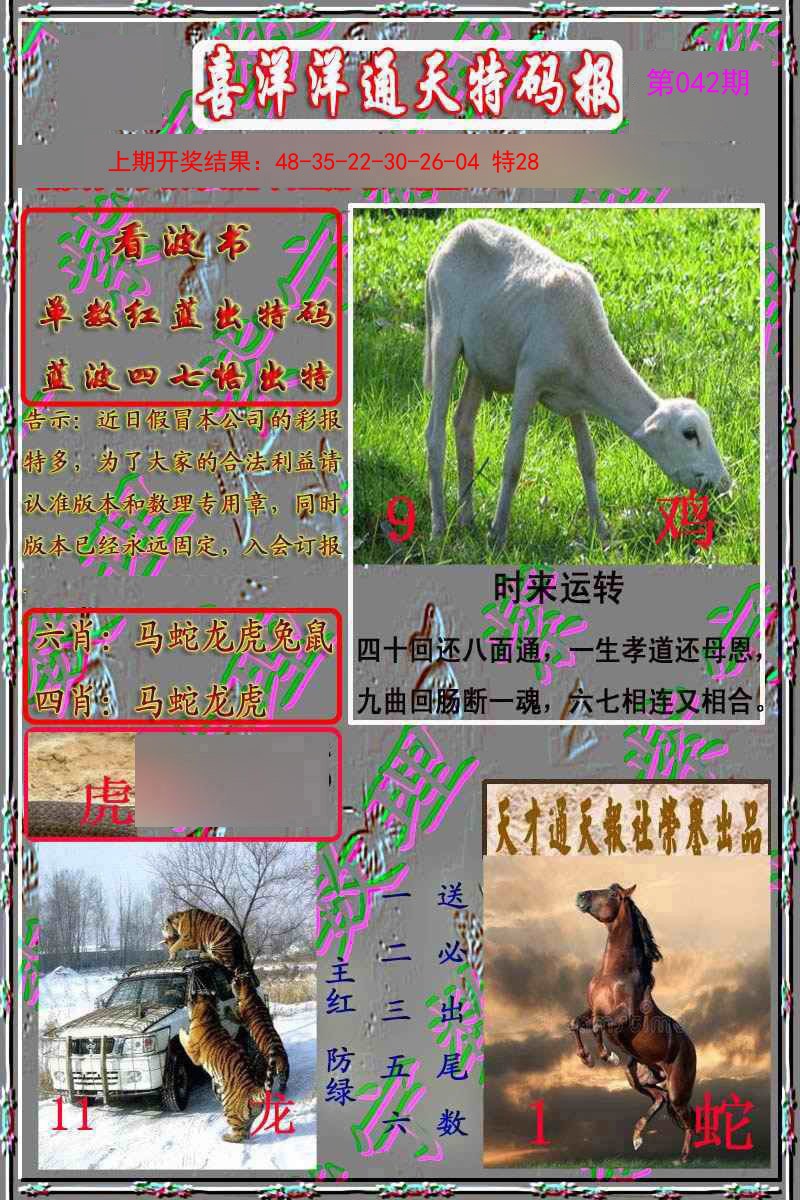 042期洋通报[图]