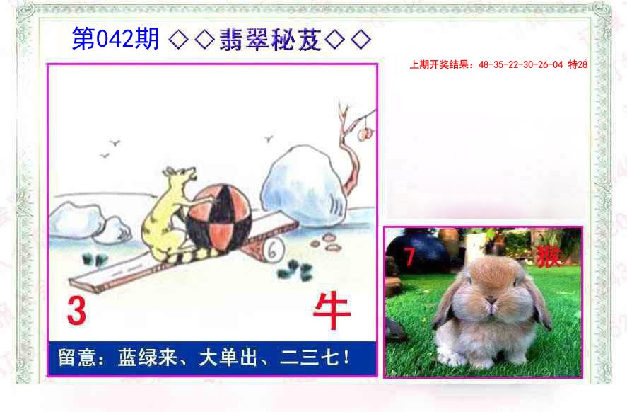 042期翡翠报[图]