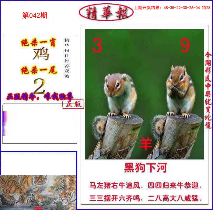 042期新精华报报[图]