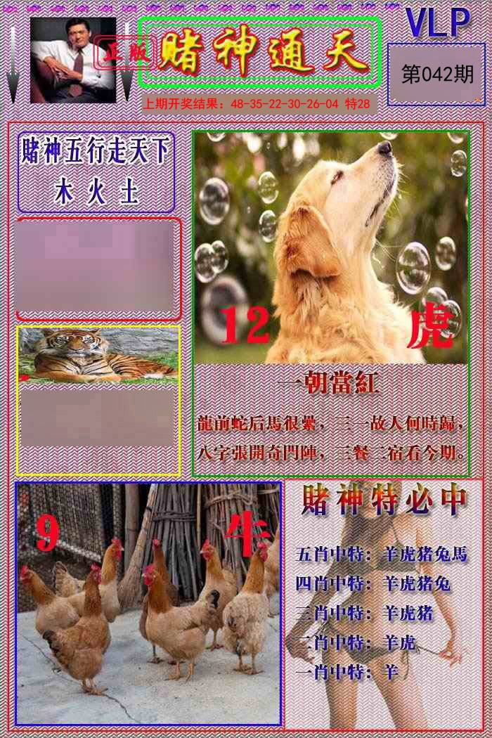 042期赌神通天报[图]