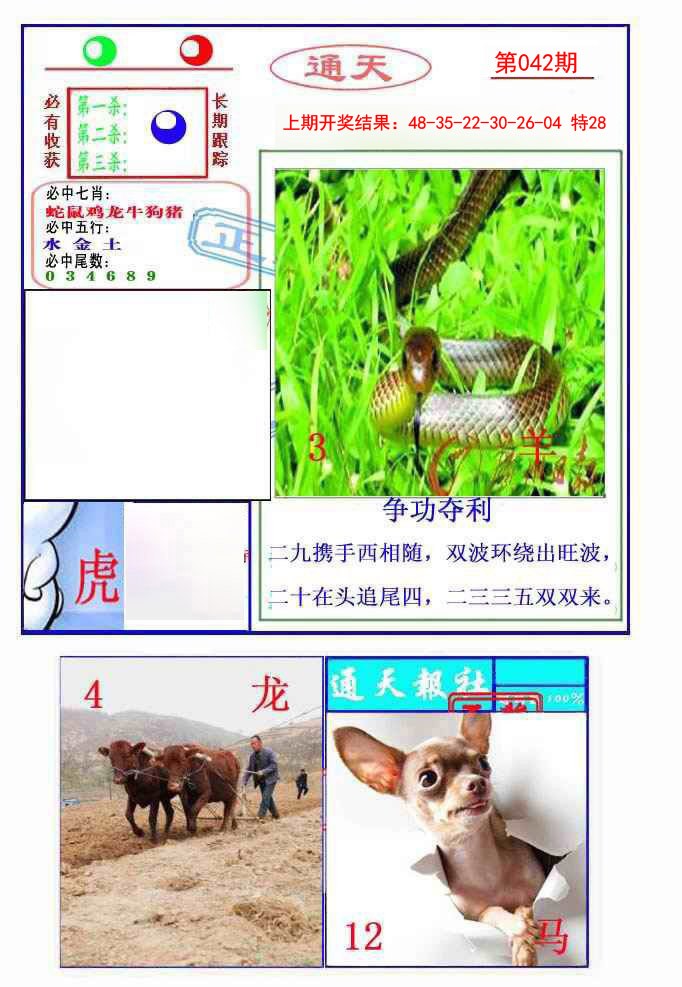 042期通天杀波图2[图]