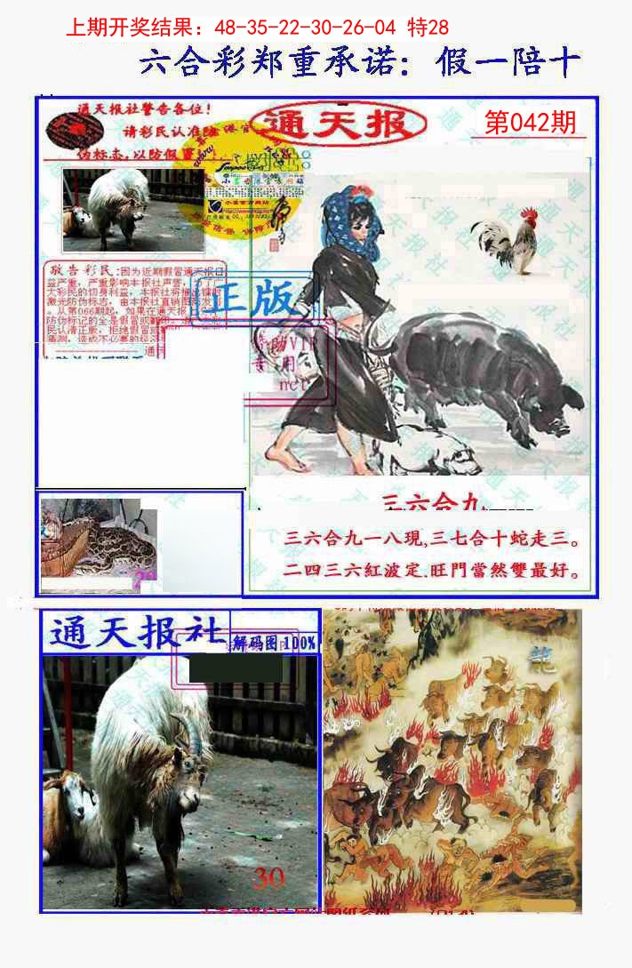 042期假一陪十通天报[图]
