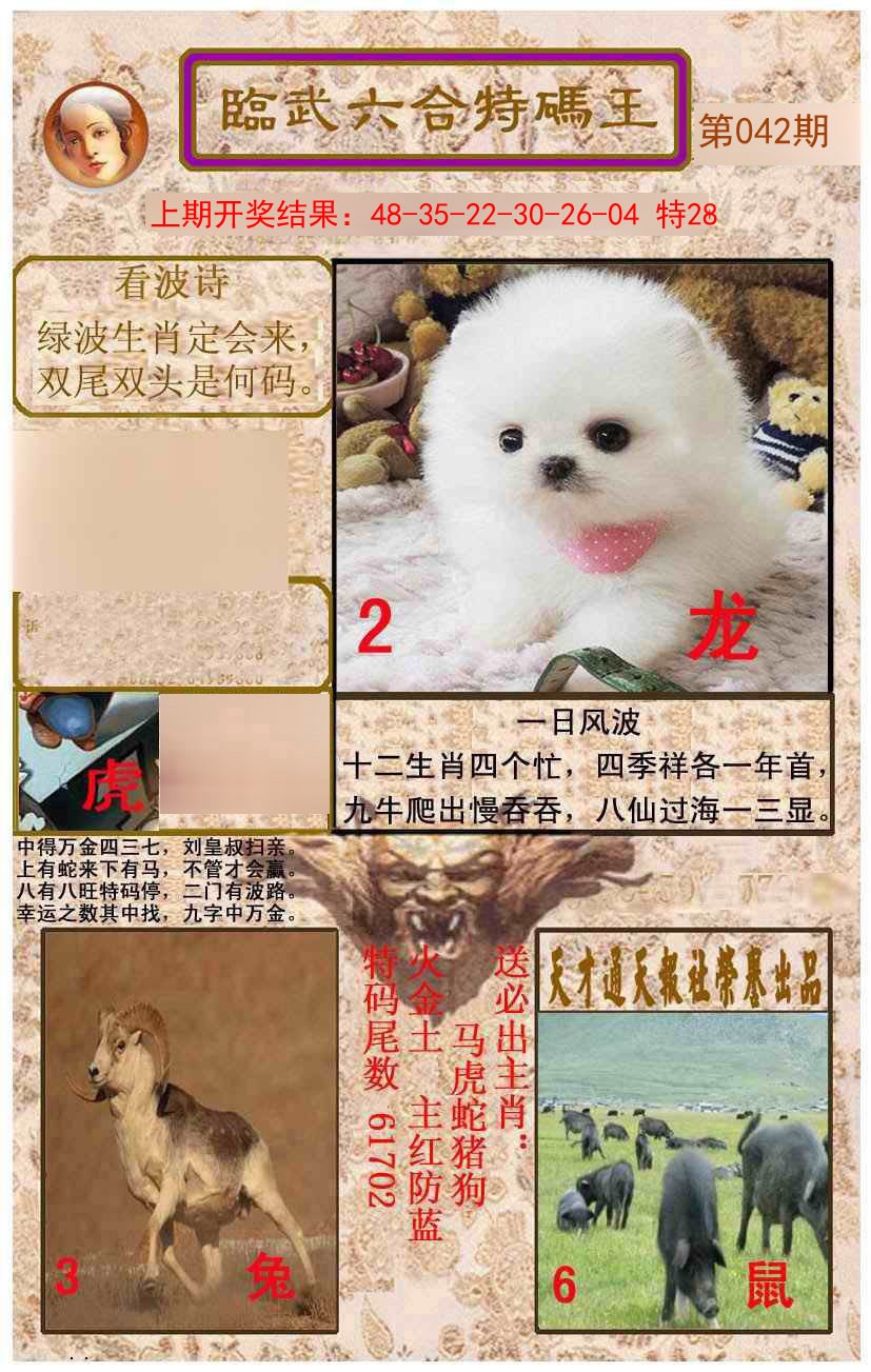 042期临武六合特码王[图]