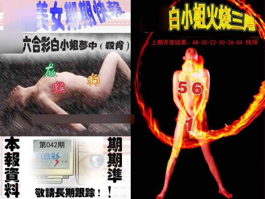 042期环球美女特码报[图]